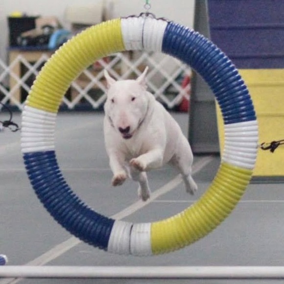 Meet your Posher, Ellen - Picture 1 of 1